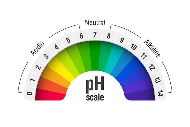 PH Balance, Biomagnetic Pair Therapy. Panacea Biomedical Institute